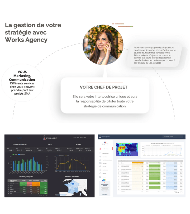 Gestion Strategie digitale