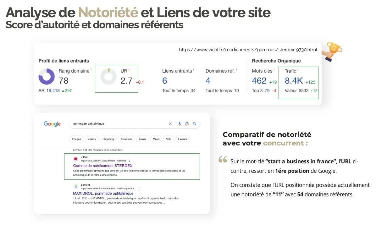 netlinking seo rouen